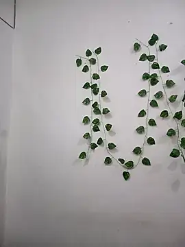 Snapshot of Neha-Bhabhi-Rasily chatting on 11.07.25 Neha-Bhabhi-Rasily online show from 11.07.25