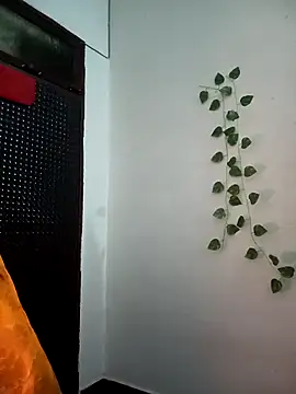 Neha-Bhabhi-Rasily online show from 11.27.25