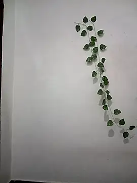 Neha-Bhabhi-Rasily online show from 04.06.26