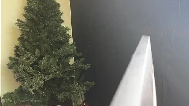 Snapshot of Maya_Mayflower chatting on 03.04.25 Maya Mayflower online show from 03.04.25