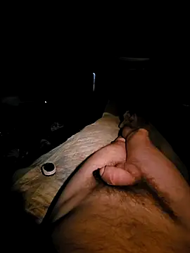 Snapshot of aleksis1313 chatting on 03.19.25 aleksis1313 online show from 03.19.25