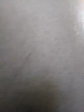 Sandra42 online show from 04.04.26