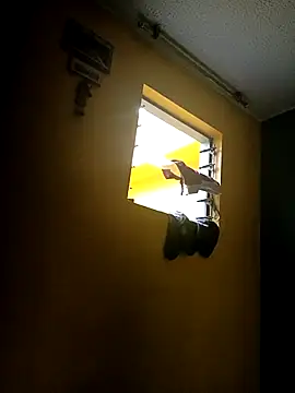 Ariana Rodriguez online show from 10.06.25