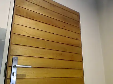 prettymonalisaRSA online show from 11.02.25