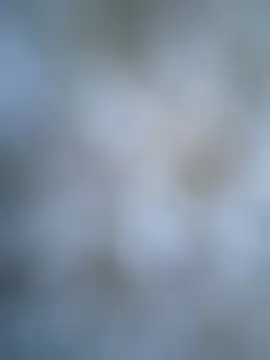 coolbrady17 online show from 03.06.25