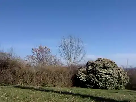 Snapshot of funnypussyfr chatting on 03.07.25 funnypussyfr online show from 03.07.25