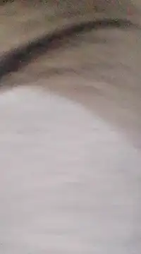 Snapshot of patrona_sexooo chatting on 03.09.25 patrona sexooo online show from 03.09.25