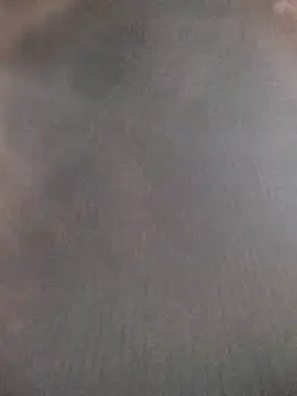 saraaxx1 online show from 11.12.25