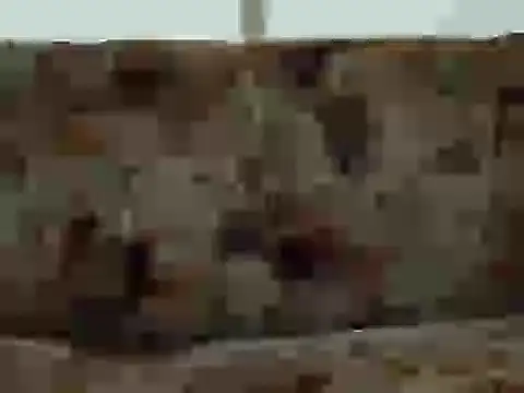 Snapshot of priya_patel chatting on 09.12.25 priya patel online show from 09.12.25