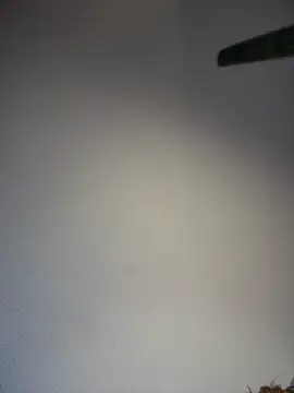 KITTYBOOBOOFUXX online show from 04.05.26