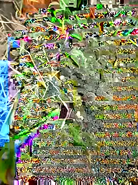 Snapshot of himvilohi08 chatting on 09.27.25 himvilohi08 online show from 09.27.25