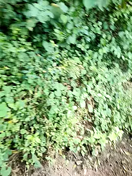 Snapshot of himvilohi08 chatting on 10.02.25 himvilohi08 online show from 10.02.25