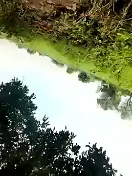 Snapshot of himvilohi08 chatting on 10.04.25 himvilohi08 online show from 10.04.25