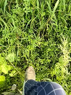 Snapshot of himvilohi08 chatting on 10.11.25 himvilohi08 online show from 10.11.25