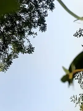 Snapshot of himvilohi08 chatting on 10.22.25 himvilohi08 online show from 10.22.25