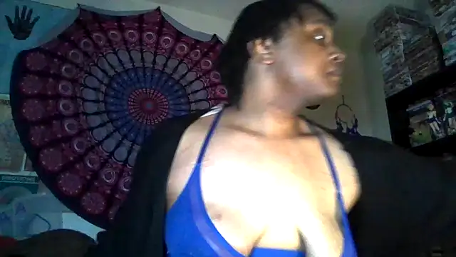 GardeniaFields online show from 04.02.26