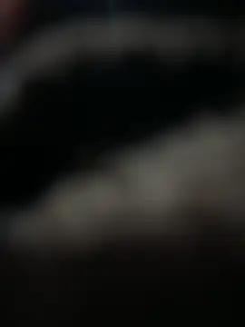 HARSHHU01 online show from 03.17.25