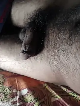 Mr skywalker online show from 03.28.26