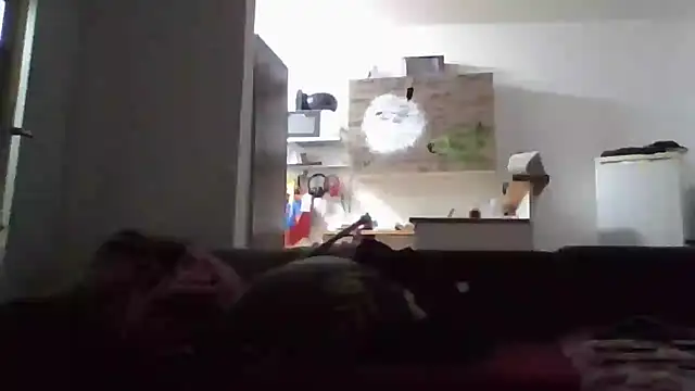 ThePython666 online show from 11.17.25