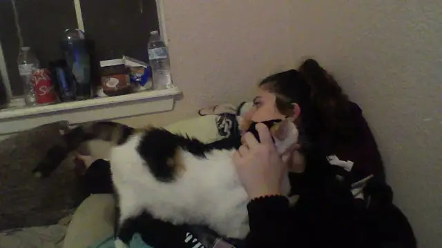 VoidsCult online show from 03.11.25