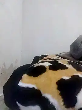 CertifiedSatisfier online show from 10.29.25