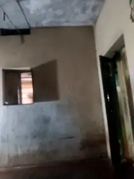 Snapshot of PolarFriend0 chatting on 02.17.26 PolarFriend0 online show from 02.17.26