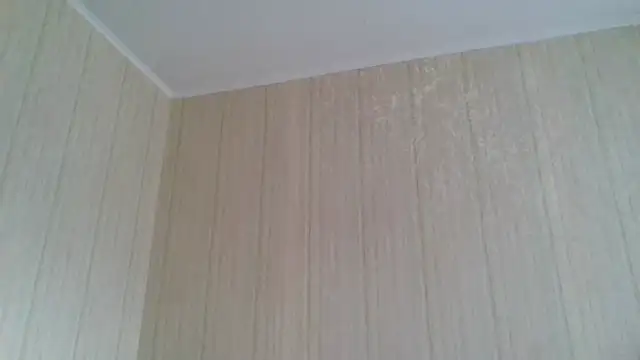  Black-Panther  online show from 02.11.26