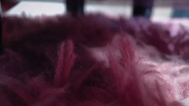 Snapshot of Taylor_dolll chatting on 10.01.25 Taylor dolll online show from 10.01.25