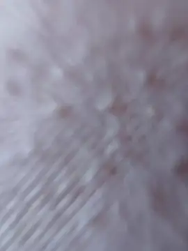 So8nan online show from 09.21.25