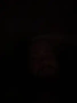 Bear2323 online show from 05.20.26