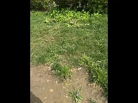 Snapshot of giyasbvnghkgkfk chatting on 04.03.26 giyasbvnghkgkfk online show from 04.03.26