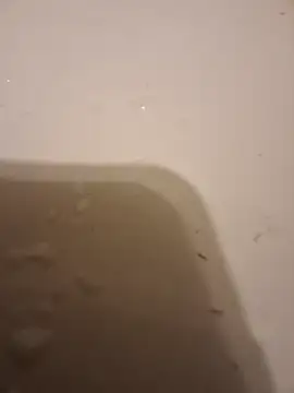 moasslicker online show from 10.21.25