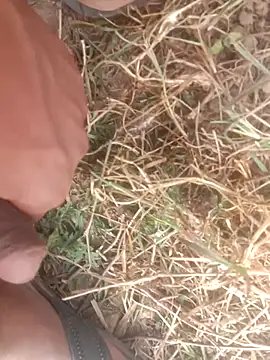 Snapshot of perplexedsoul chatting on 12.01.25 perplexedsoul online show from 12.01.25