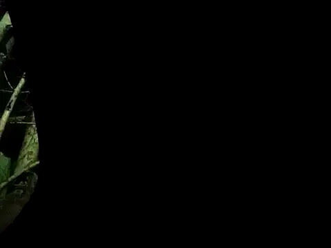 Snapshot of ConfidedAward chatting on 09.13.25 ConfidedAward online show from 09.13.25