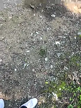 Snapshot of cihan_4141 chatting on 10.20.25 cihan 4141 online show from 10.20.25