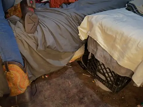 HodgeVibes online show from 03.01.26