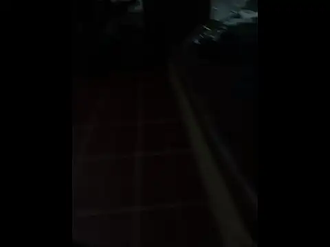 felopayl online show from 06.28.26
