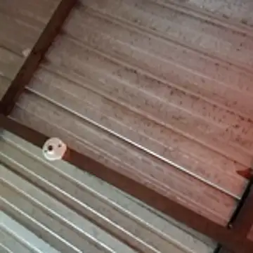 Snapshot of Ortiz3404 chatting on 04.05.26 Ortiz3404 online show from 04.05.26