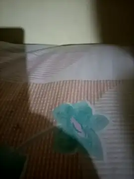 Nishi-2 online show from 09.25.25