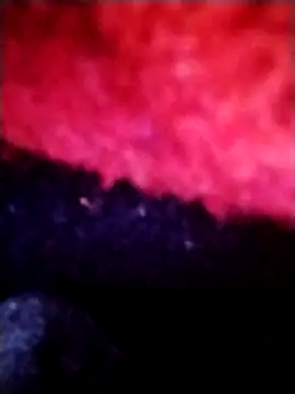 salimbasha online show from 09.28.25