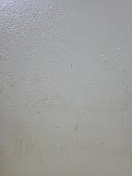 titooritax online show from 11.01.25