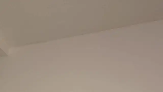 Aleecandrews online show from 11.24.25