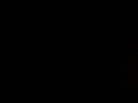 20cmloiro online show from 10.07.25