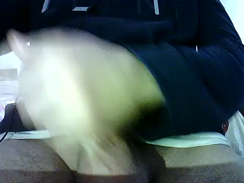 Snapshot of photo3995 chatting on 01.12.26 photo3995 online show from 01.12.26