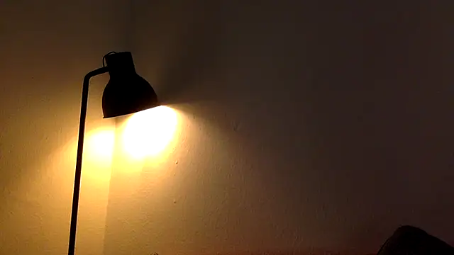 Snapshot of T_R_1992 chatting on 12.17.25 T R 1992 online show from 12.17.25