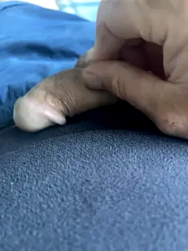 Snapshot of BobKat chatting on 10.05.25 BobKat online show from 10.05.25