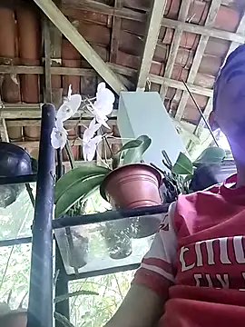 Boragozarvem online show from 10.07.25