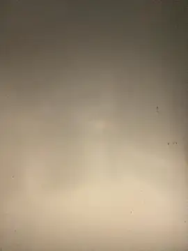 sasatimido online show from 10.14.25