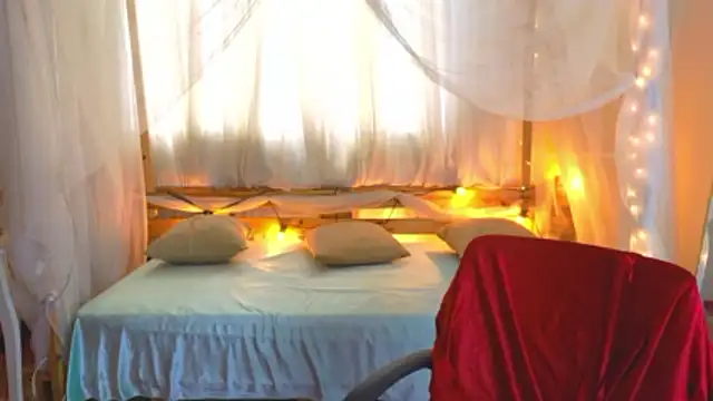 loreaniss online show from 11.16.25