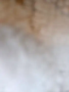 Radsjxh online show from 12.17.25